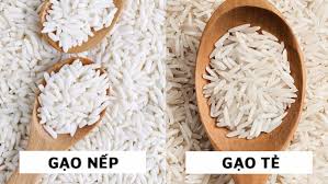 Gạo các loại